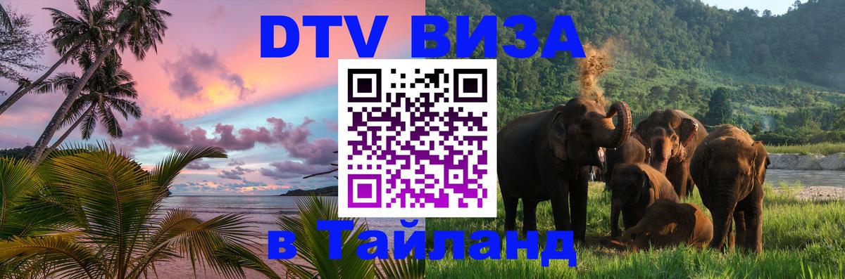 Оформление DTV визы под ключ: стоимость и тарифы, только загранпаспорт - 20.11.2025 